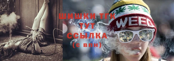 мдпв Магас