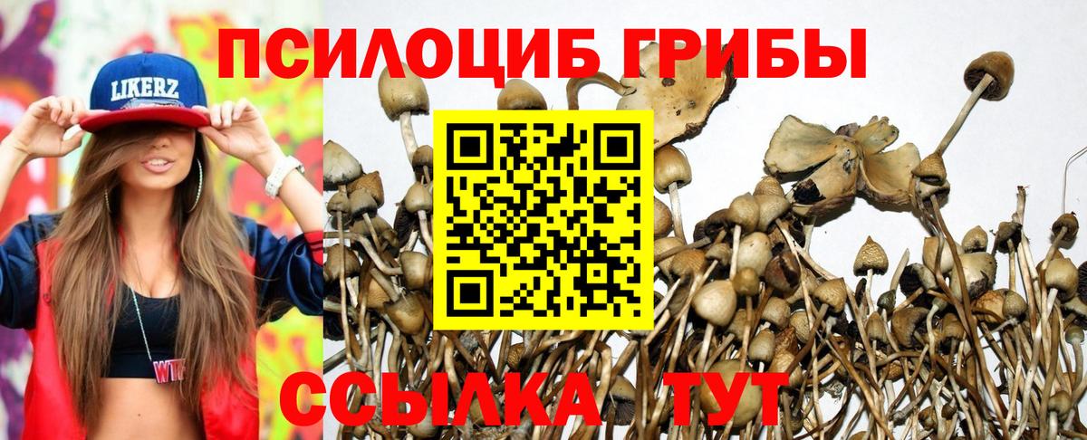 Галлюциногенные грибы мицелий Ишим
